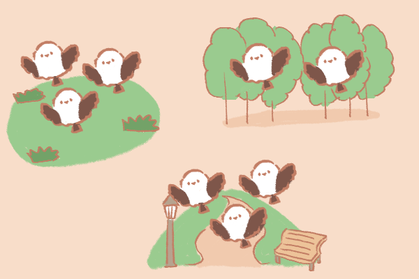 sample